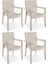 Rattan Koltuk Rattan Bahçe Balkon Sandalyesi Kapuçino (4 Adet) 1