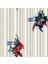 Adakids Justice League Çocuk Odası Duvar Kağıdı 1