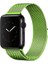 Apple Watch Seri 7/6/SE/5/4 Metal Kayış Milano Loop 45mm 44mm 42mm Uyumlu Yeşil 1