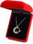 Zirkon Taşlı Ay Yıldız Kolye Ps0993 1