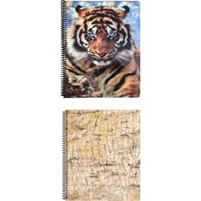 Fly Color  A4 2 Adet Art Style Spiralli Plastik Kapak 96 Yaprak Kareli Desenli Defter Seti