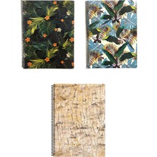 Fly Color  A4 3 Adet Art Style Spiralli Plastik Kapak 96 Yaprak Kareli Desenli Defter Seti