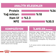 5 kg Vakumlu Kitten Yavru Kedi Maması Yüksek Proteinli