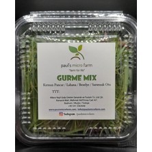 Gurme Mix Salata