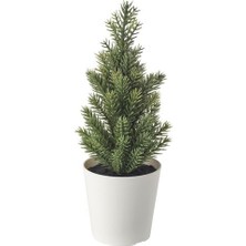 IKEA Mini Çam Ağacı Saksılı Yapay Bitki 6 cm Çam Ağaç Dekorasyon