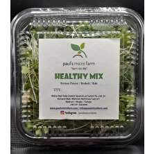 Pauls Micro Farm Healthy Mix Salata