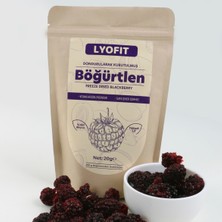 Lyofit Böğürtlen (Freeze-Dried) 20 gr