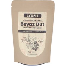 Lyofit Beyaz Dut (Freeze-Dried) 20 gr