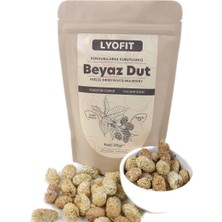 Lyofit Beyaz Dut (Freeze-Dried) 20 gr