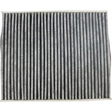 BSG Ford C-Max Kalorifer Polen Filtresi Karbonlu 2012-2018