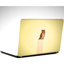 Dekolata Baykuş Laptop Sticker