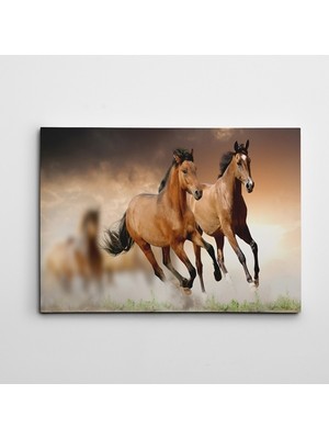 Dekolata Atlar 3 Kanvas Tablo