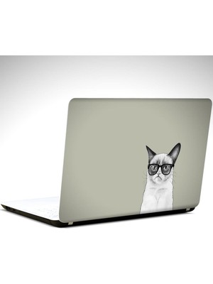 Kedi Laptop Sticker