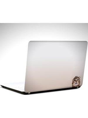 Kedi ve Yengeç Laptop Sticker