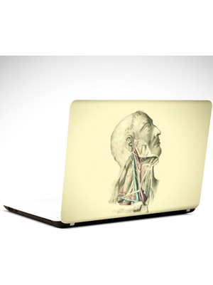 Dekolata Anatomi Laptop Sticker