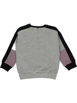 Panço Erkek Bebek Blok Parçalı Baskı Detay Sweatshirt