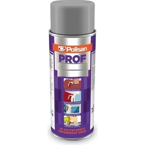 Polisan Prof S-Wg Su Yalıtım Spreyi 500 ml Gri