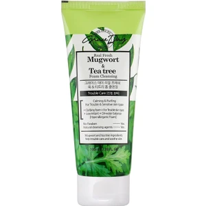 Grace Day Hassas Ciltler Için Tahriş Önleyici Temizleyici Köpük Mugwort Tea Tree Foam Cleanser