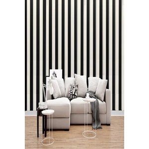 5352 Siyah Beyaz Gümüş Şerit Çizgili Duvar Kağıdı Duvar Kağıdı 5,30 M²