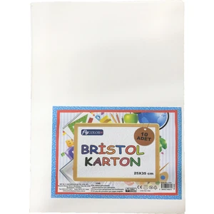 Fly Color Amerikan Bristol Karton 210 gr 10'lu 25 x 35 cm