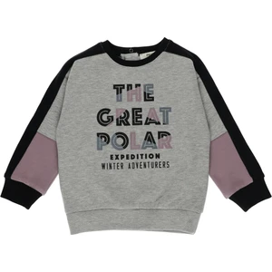 Erkek Bebek Blok Parçalı Baskı Detay Sweatshirt