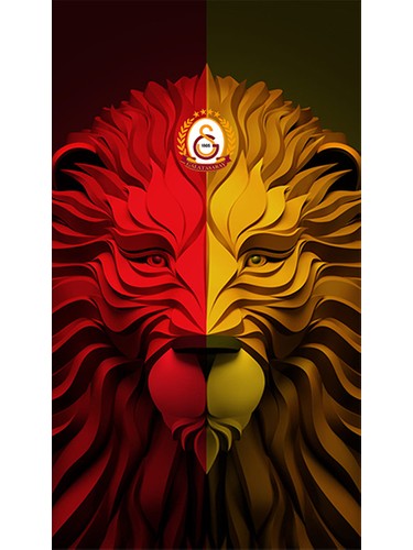 Derin Display Galatasaray Poster Fiyatı - Taksit Seçenekleri