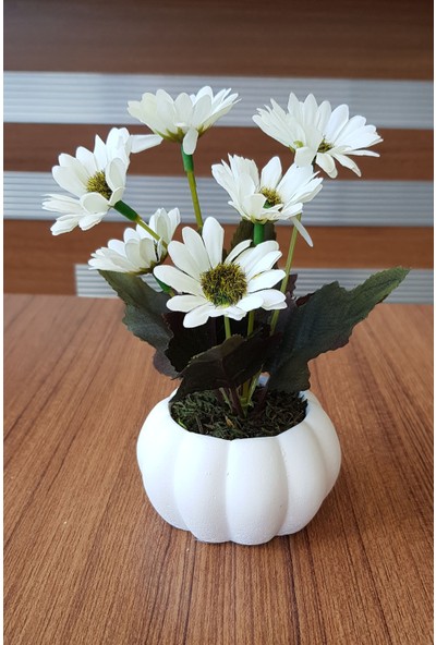 Adresi Burası Adresiburası Beton Balkabağı Model Ekru Papatya Masa Çiçeği