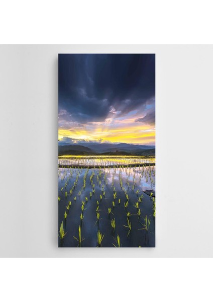 Pirinç Tarlası Kanvas Tablo