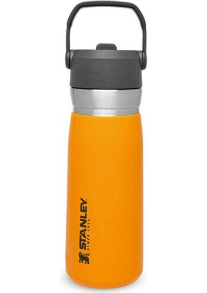 The Iceflow Pipetli Paslanmaz Çelik Soğuk Su Termosu 0.65 Lt