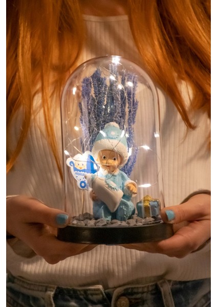 Yeni Doğan Erkek Bebek Hoşgeldin Hediyesi Işıklı Teraryum