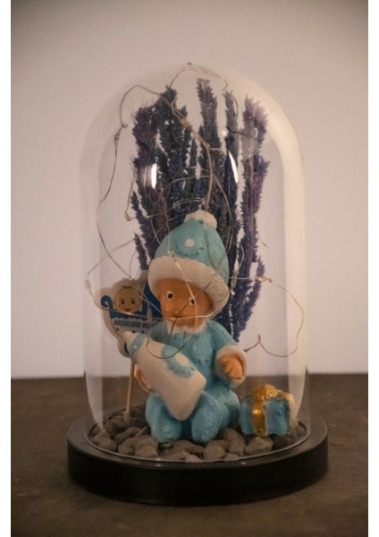 Yeni Doğan Erkek Bebek Hoşgeldin Hediyesi Işıklı Teraryum modelleri