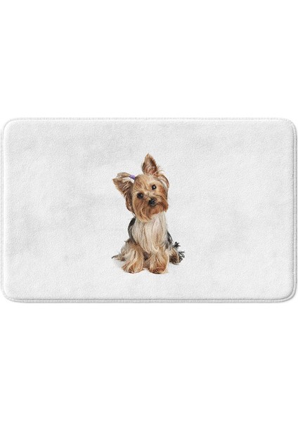 Sevimli Tasarımlı Mikrofiber Banyo Paspası, Kaymaz Taban, Makinede Yıkanabilir (50x80 Cm) fiyatları