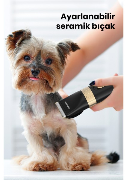 Kırpık 10 In 1 Ayarlanabilir Şarjlı Kedi Köpek Tıraş Makinesi Pet Evcil Hayvan Tüy Kesme Aparatlı