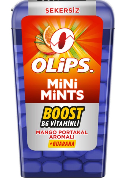 Mini Mints Mangro Portakal Aromalı Şekerleme 12,5 grr x 12 Adet