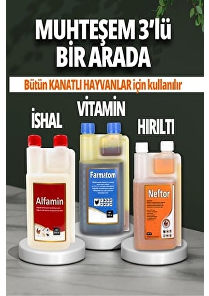 3lü Set Kuşlar Için Farmatom Vitamin Alfamin Ishal Neftor Hırıltı Seti (500 Ml)