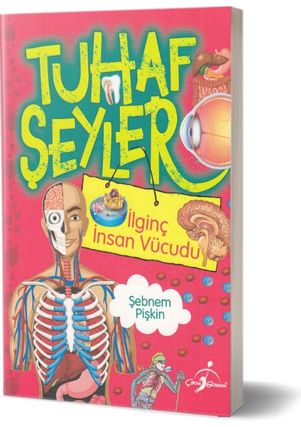 Tuhaf Şeyler - Ilginç Insan Vücudu