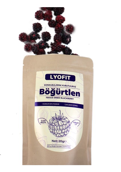 Böğürtlen (Freeze-Dried) 20 gr