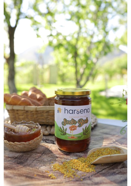 Sedir Balı 850 gr