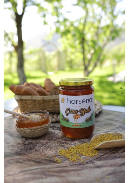 Çam Balı 850G