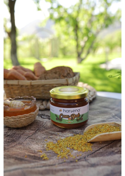 Çam Balı 400G