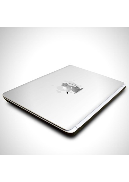 Fare Laptop Sticker fiyatları