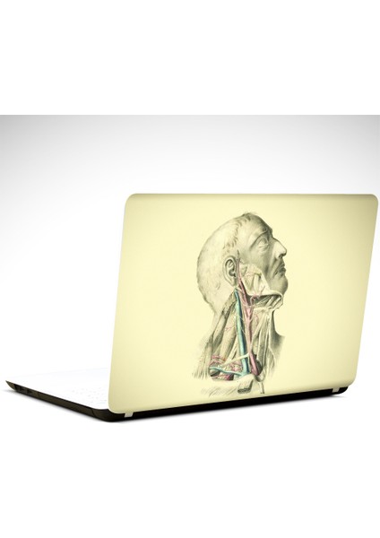 Anatomi Laptop Sticker