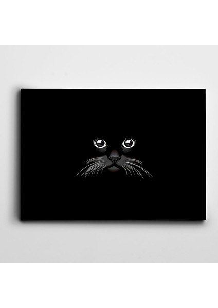 Siyah Kedi Kanvas Tablo