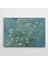 Vincent Van Gogh Almond Blossom Kanvas Tablo 1