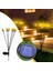 Teknoloji 2 Li Paket 6 Top LED Güneş Enerjili Bahçe Aydınlatma Solar Bahçe Süsü 3