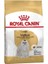 Maltese Terrier Adult Köpek Mamasi 1,5 kg 1