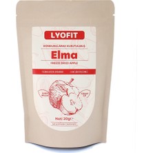 Lyofit Elma ( Freeze Dried ) (20 gr )