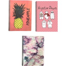 Fly Color  A4 Art Style Spiralli Plastik Kapak 96 Yaprak Çizgili Desenli Defter Seti