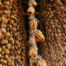 Egeye Dönüş İri Boy Cennet Hurması Kurusu 1 kg