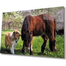 Eliza Home  At ve Köpek Cam Tablo